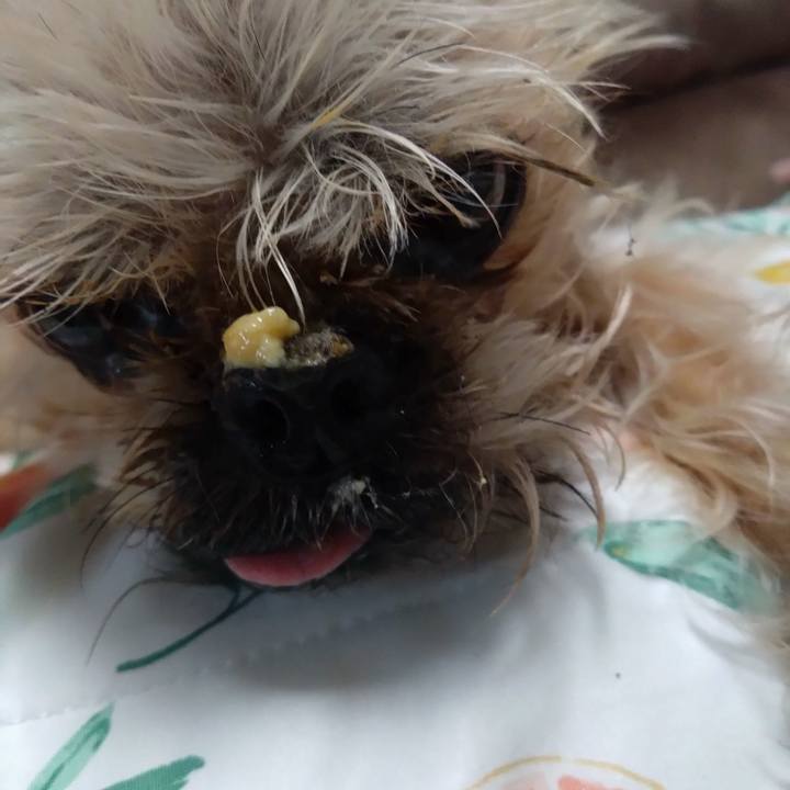 C9598407 2164 4a2c 82b5 934467240bb9 1749348950547