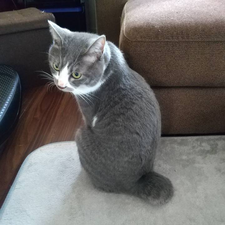 C959acda 04d0 42c1 bca7 681eb5eb899e 1628026880942