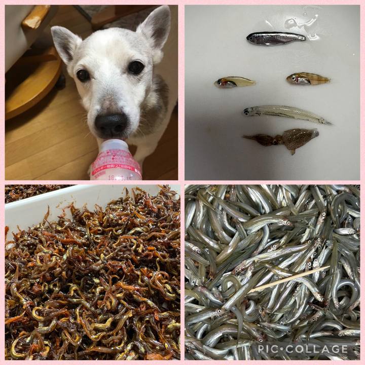 C959d103 9359 4315 9a37 112550d63eaf 1773742722935