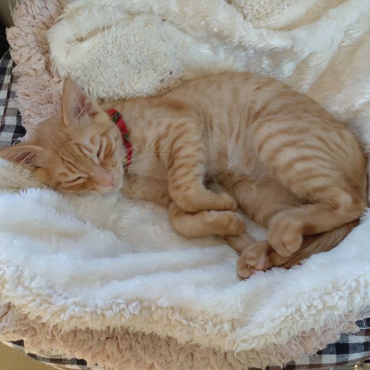 C959e4f7 aa5e 4884 8ef6 4ba3530332f2 1672129928212