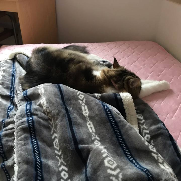 C95a0cbc 5589 4118 8584 5874b262d9d6 1630636924156