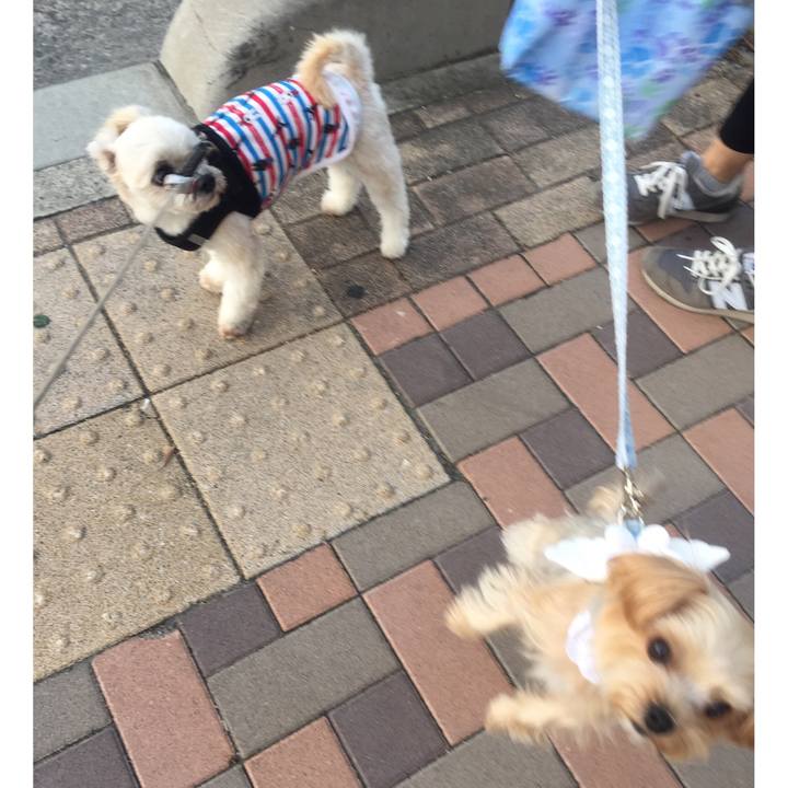 C95a2f39 e8fd 4bf3 bed4 203104afe19f 1538478690211