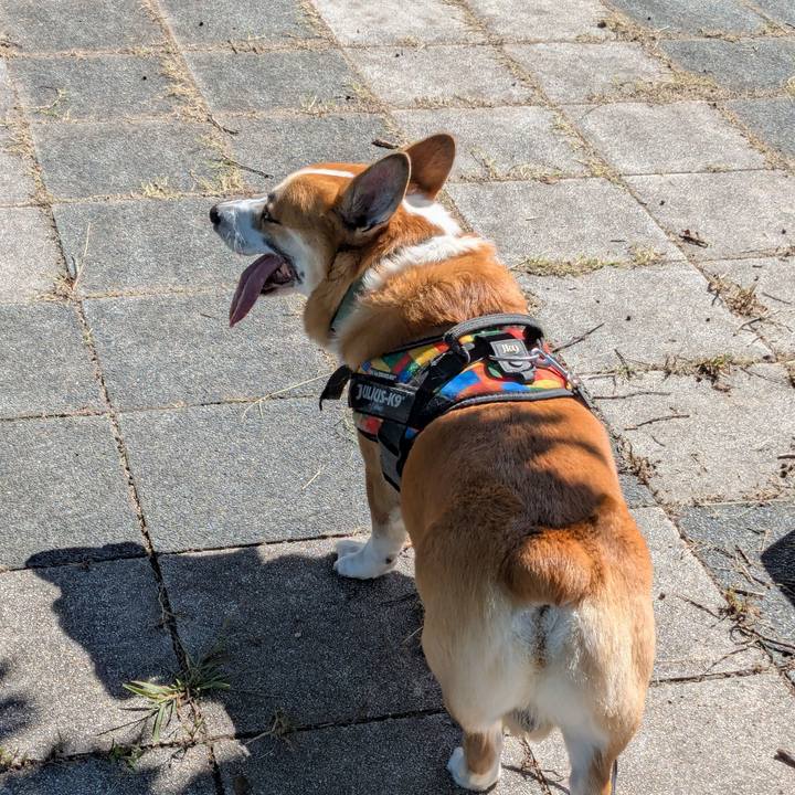 C95a7dde 0381 4af6 be20 4e8f0b70f51b 1759741009435