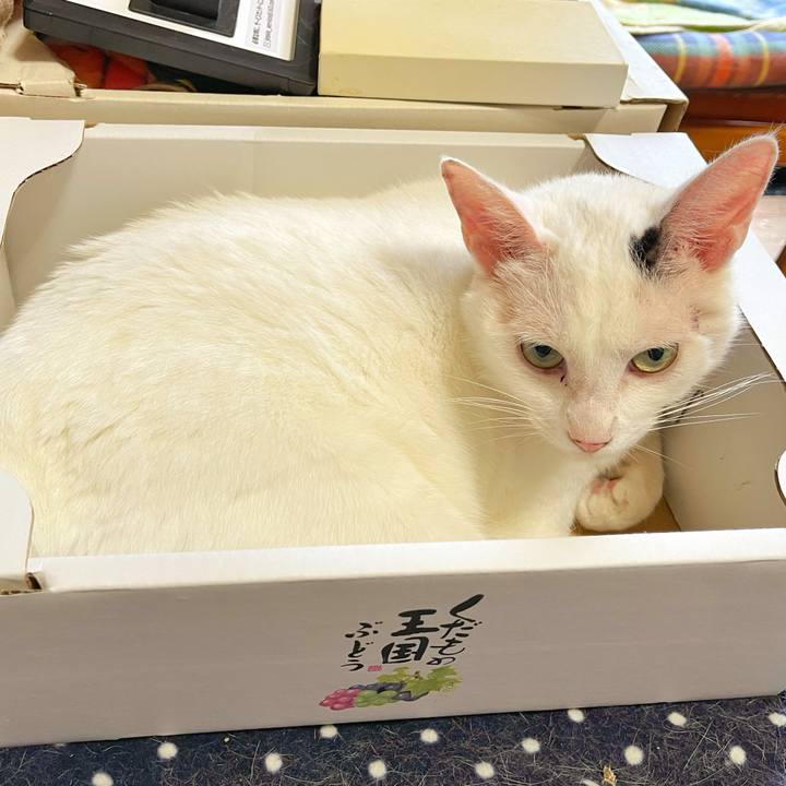 C95a96bf 183c 4eea 9e93 390c6c0e52f9 1758236066357