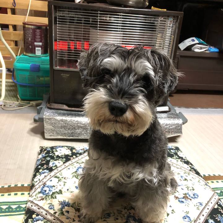 C95ac06a ceca 4206 a30e 76cd0e9a71ed 1636543360434