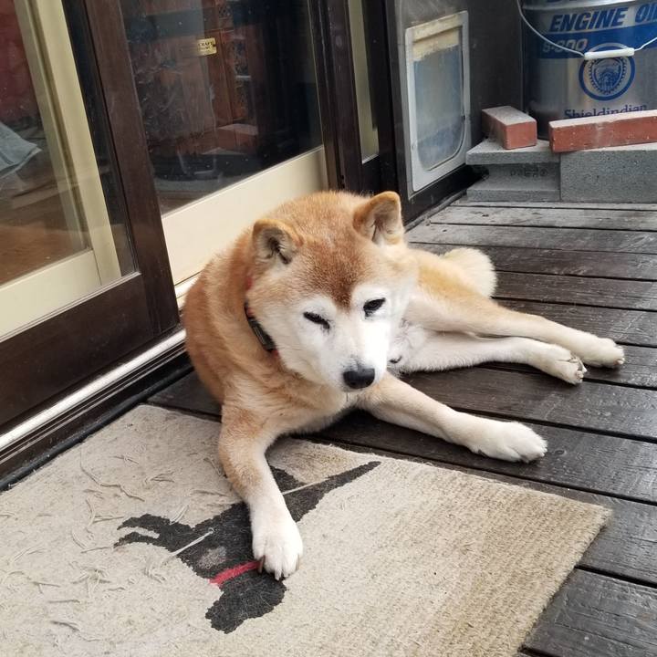 C95adecd dd19 4171 8292 5d9ce49c0607 1739749363101