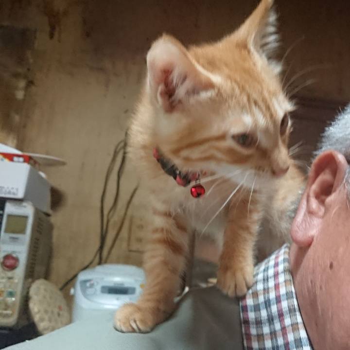 C95b0e93 0abf 4255 ad71 486035aee083 1630892409490