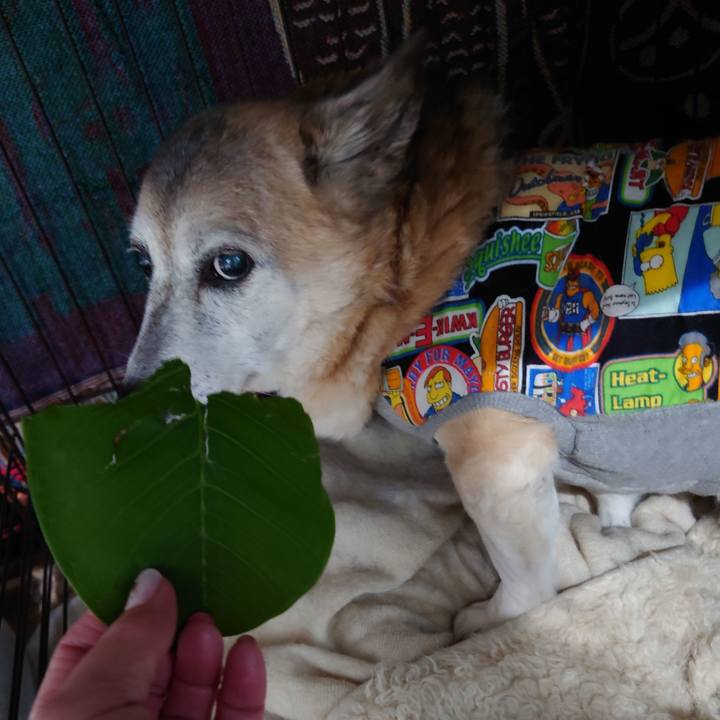 C95b21ed c4f1 4846 a5c4 9ae642d17b2a 1705145501837