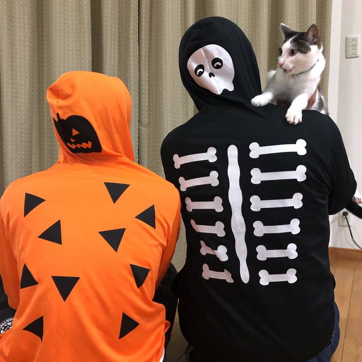 C95b3df6 8ba2 4173 b802 9f97e9da676e 1604063321277