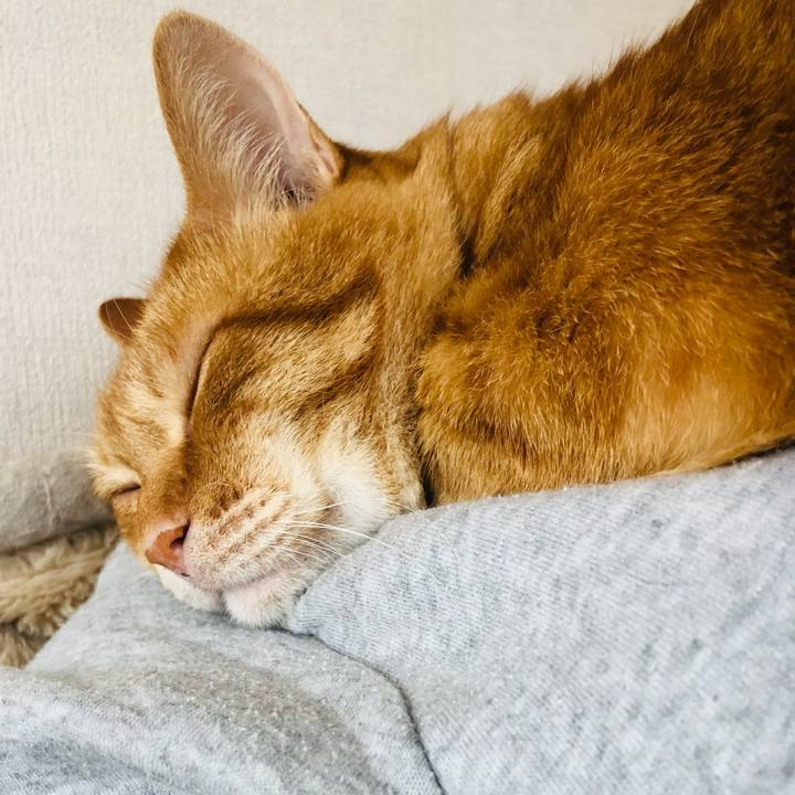 C95b79f2 47fd 4b2a a6e0 3646f5cb13b6 1619932227341