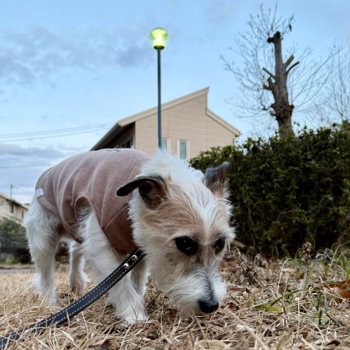 C95bbaf4 a74f 4c19 9375 5cf4320692c0 1769674037973