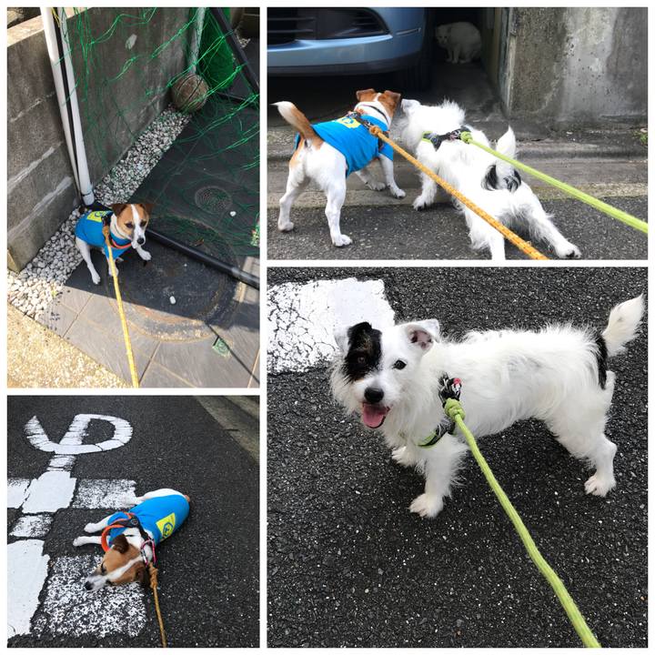 C95bbbb5 0d70 494f a250 0ced4c85a5cc 1529972453893