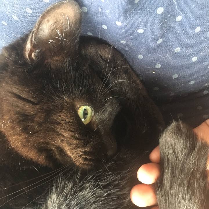 C95bc778 109f 4f4e 991a 3b9b84a5124d 1543980658785