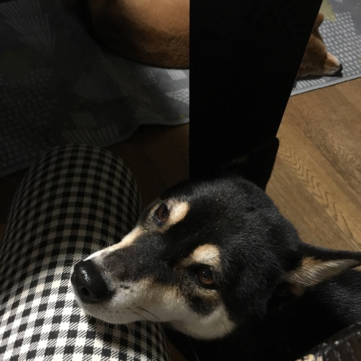 C95bd6b4 b554 4178 bb86 6d27e9739650 1538472439819