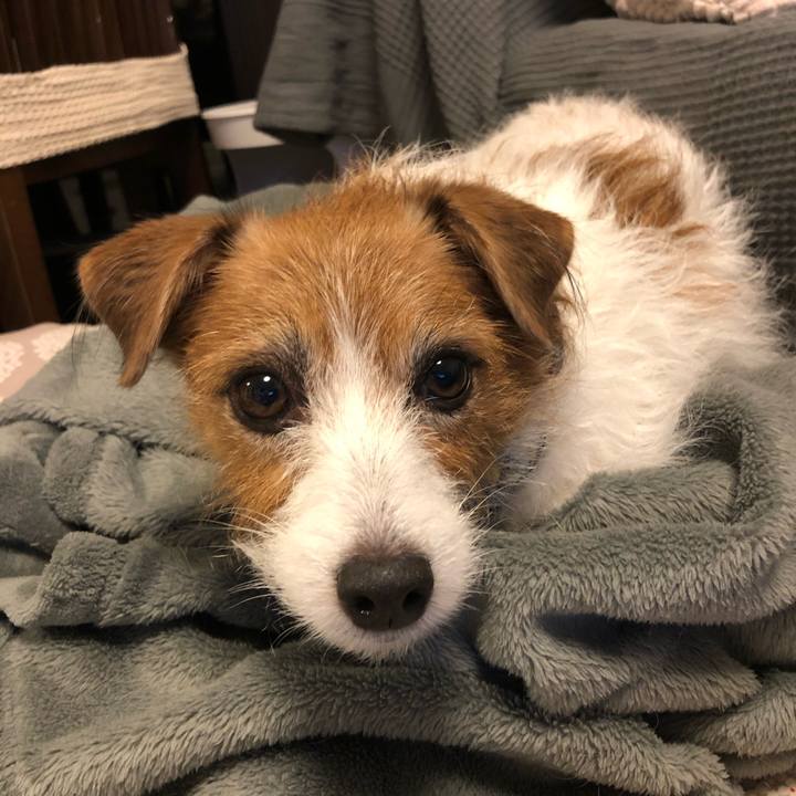 C95bec47 b806 4306 91ab 233633d90dfd 1634907027783