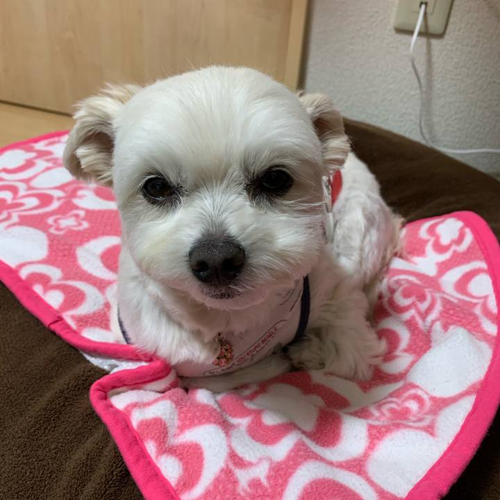 C95bfd3c e026 4b43 9e21 45efbb330005 1614170258140