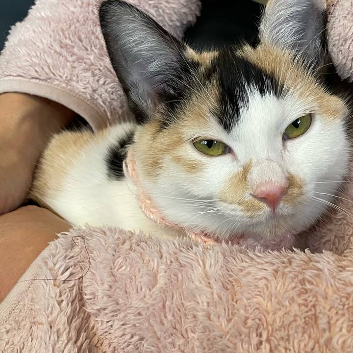 C95bfe85 7fc3 4fb2 95c5 3253dd4fd179 1667606125365