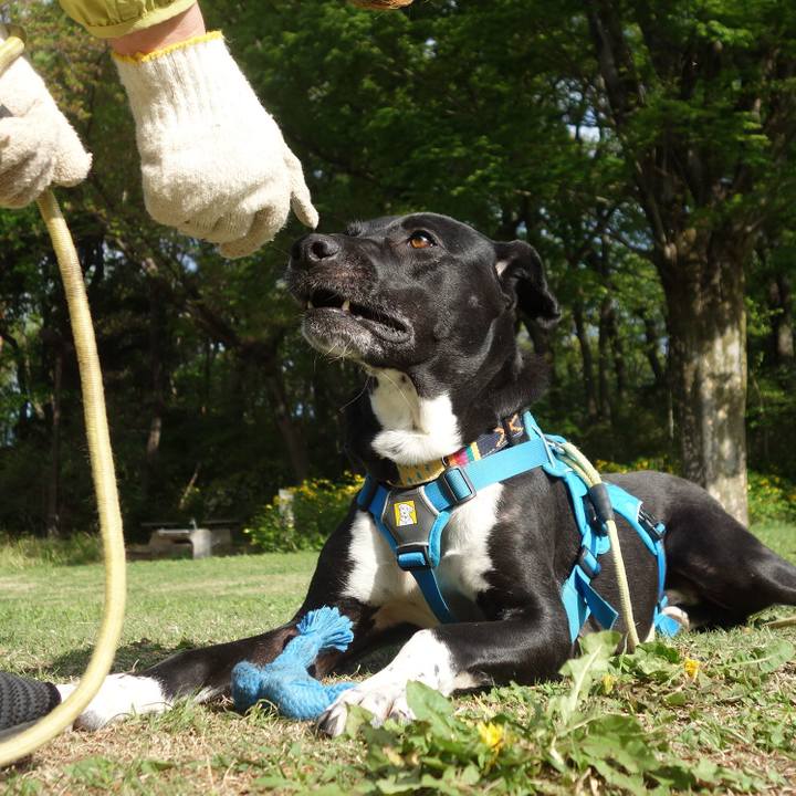 C95c05a2 d51f 4cce aad1 66b20d5aed36 1617839574206