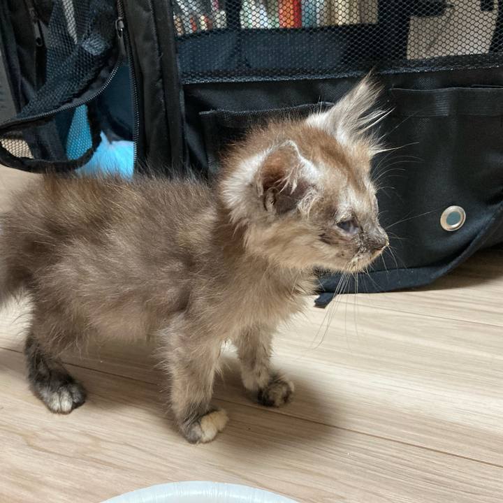 C95c0fde 2c7b 4a54 8599 02882a322cf8 1690847145743