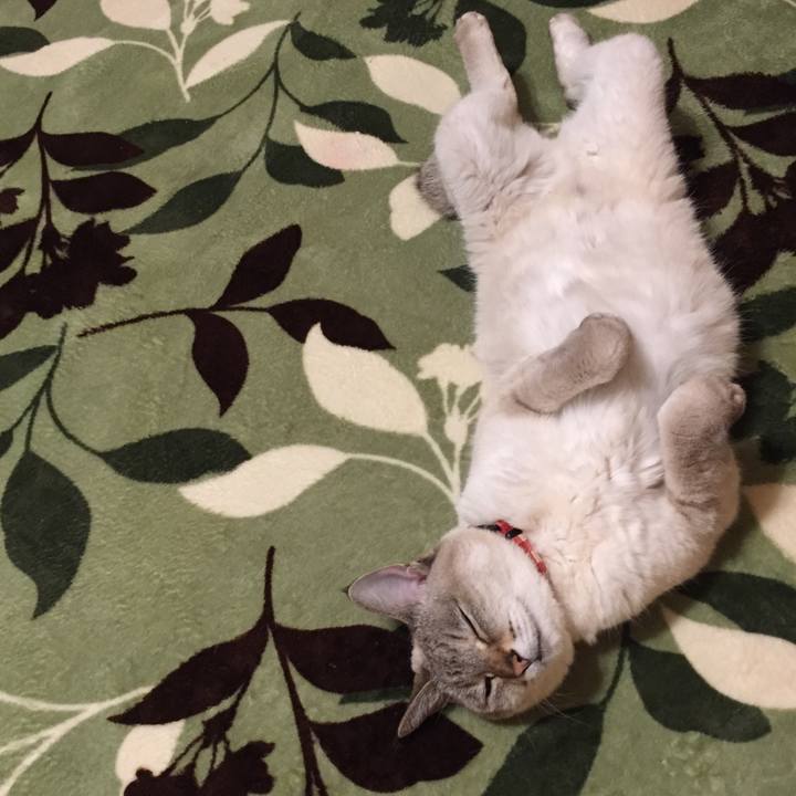 C95cc157 8dad 47a1 a15c 48298e94e116 1583616279471