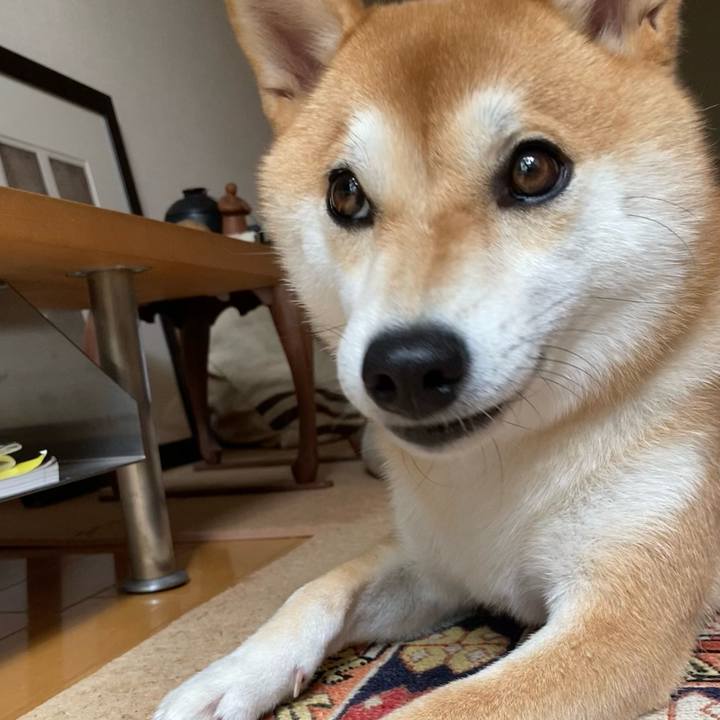 C95ccc00 1b4f 4187 9968 f0974bfdd47c 1696201367009