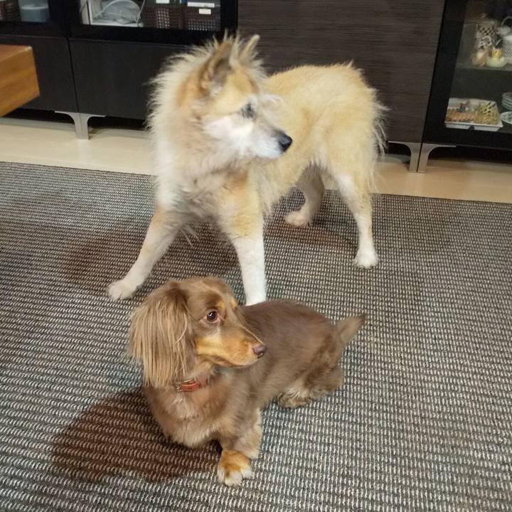 C95cfac9 f64b 458a 8a65 9a1aaf7603b5 1601516366084