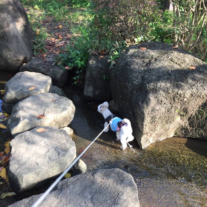 C95d63e1 2c0b 451c 9a47 0a2033692471 1540625978641