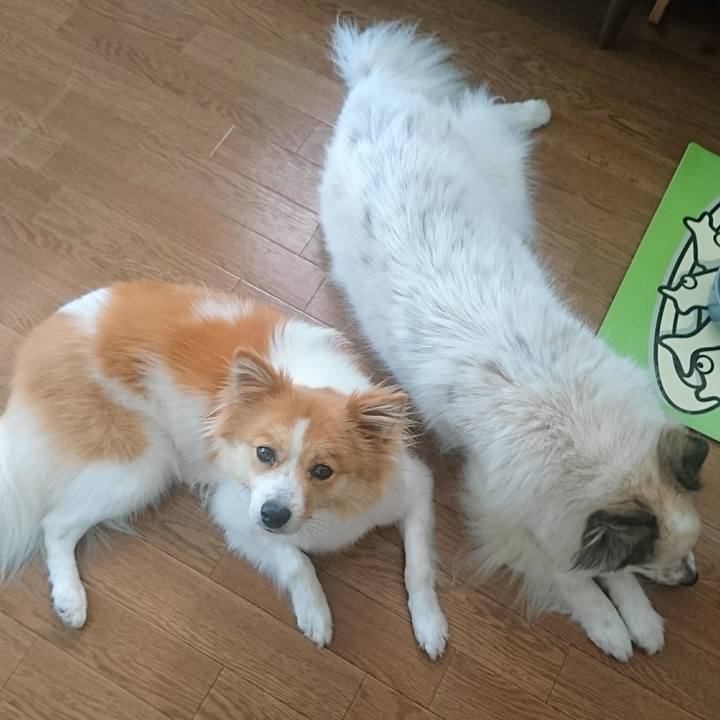 C95d87e7 abbf 4527 a53f cdaec0094db4 1565267093032