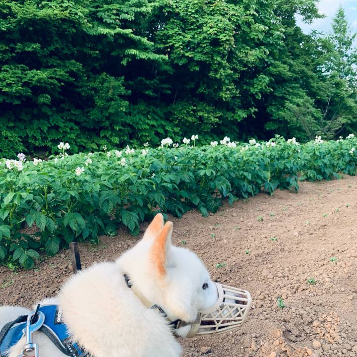 C95dac9e 2d98 4008 92c5 cb52121c0d5e 1625086391324