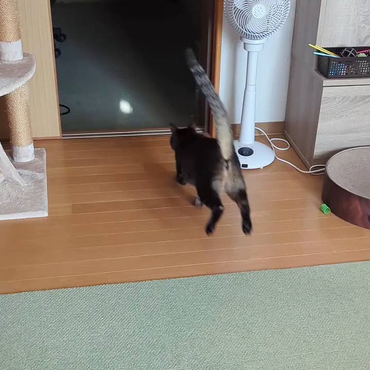 C95deb21 1524 48c8 b551 7a612066e511 1773383817128