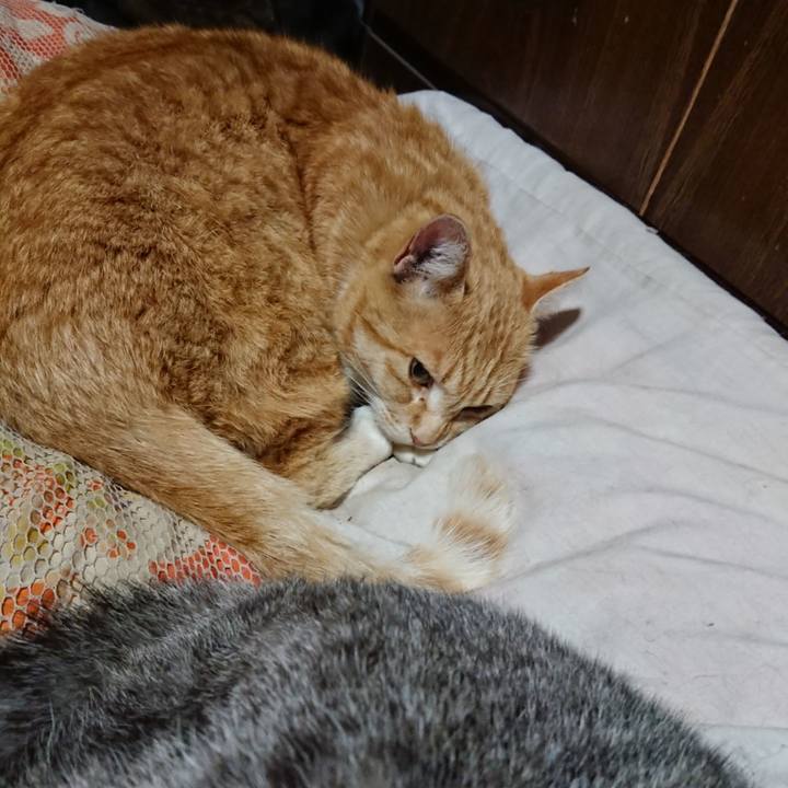 C95e015b 40e5 4282 b099 78ef4ab4f5b8 1586867060864