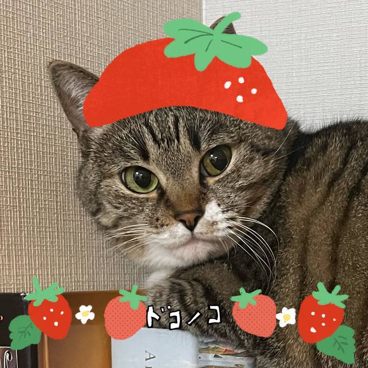 C95e0a20 f905 4256 acda 439b94a76808 1775562252387