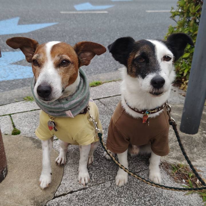 C95e3b8f a436 4617 8948 28ac711d2409 1748815929591