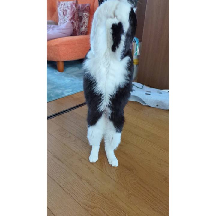 C95e4cbd 07c0 4a8e bfd1 88592695d469 1698552510993