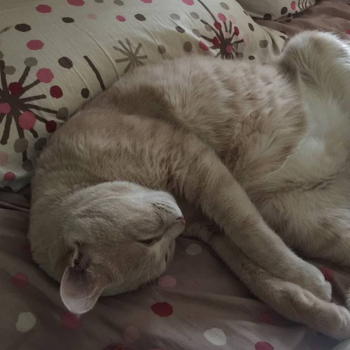 C95e9080 391f 415f 8461 61f280a74394 1530067763183