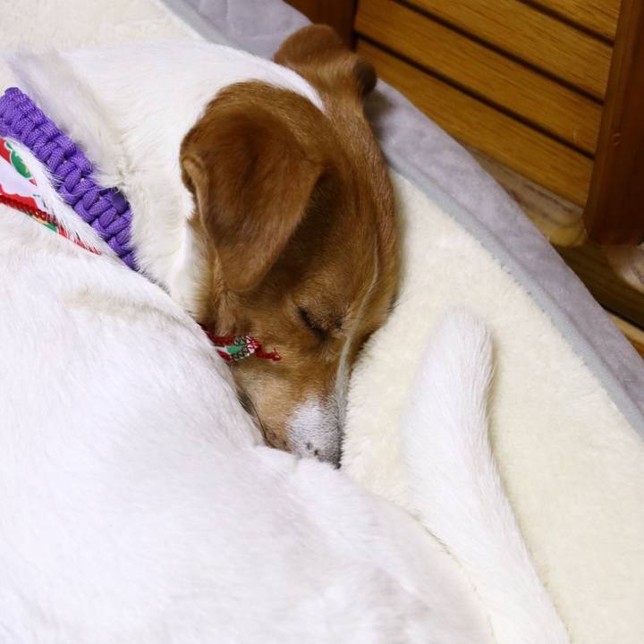 C95ed93a 9f7b 449c 9e15 678790ad55dd 1576843415903