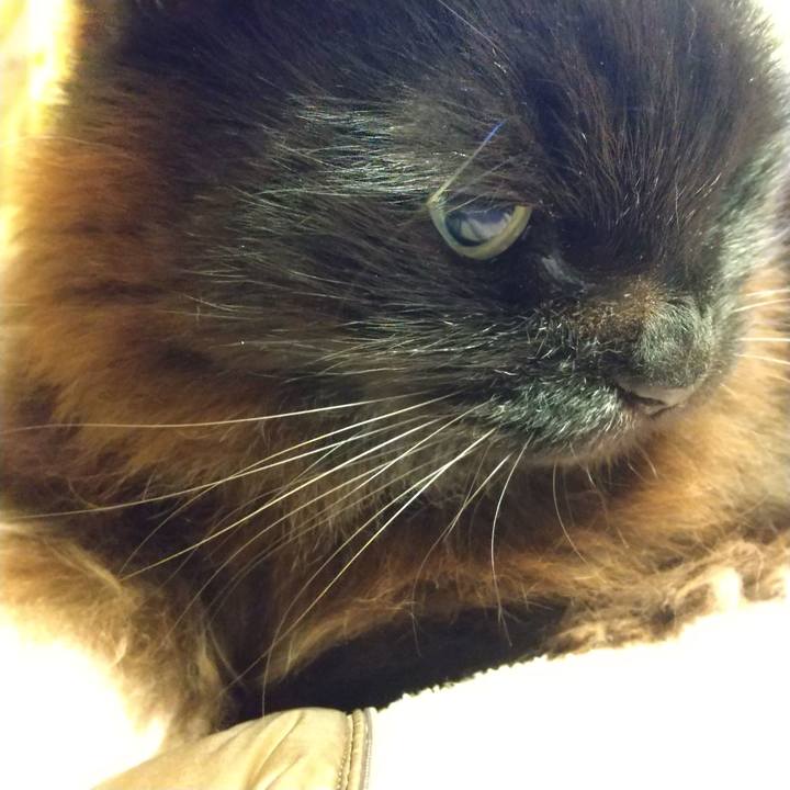 C95eed44 4245 4d6f bd81 e4b451eed3b5 1647166833359