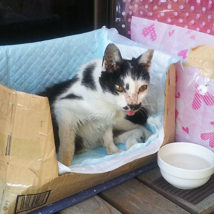 C95f2a36 e0f5 417d b3df 35fc2962d2fd 1559211335828