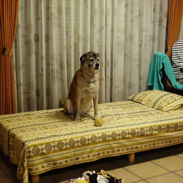 C95f4a00 1f18 4529 a4c6 9f55dc591ff9 1537786605159