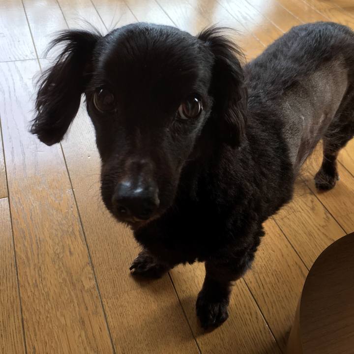 C95f659f 9698 4a6f 860e f4109d43f79b 1541809114769