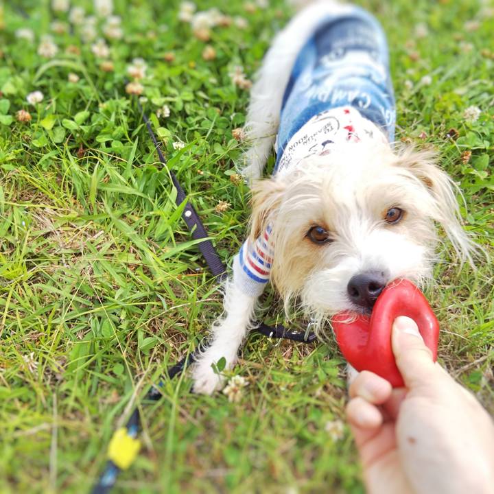 C95fdc93 cce5 4ae4 bd43 d67bea81bdb9 1527339781569