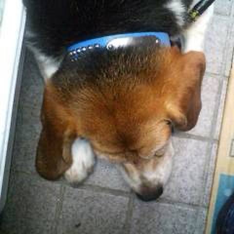 C9600cd8 948d 4a3a 9281 b3be831344a7 1752463437003