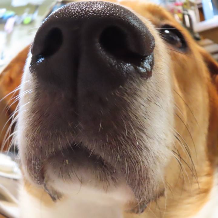 C9603e99 33b6 4c62 92cf 2c1a136fa10f 1625279606957