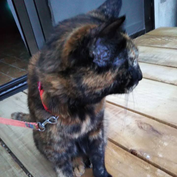 C9607df0 35dc 4ef9 aafb fa8199d729ce 1599573264631