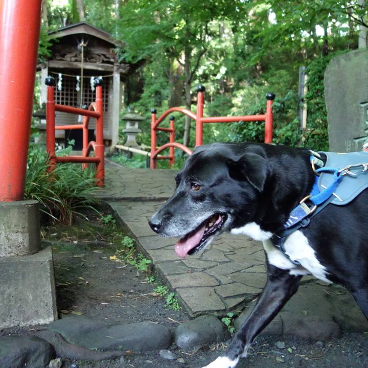 C9608c8e cf17 43c2 a4d1 25ee16fae735 1719191167637