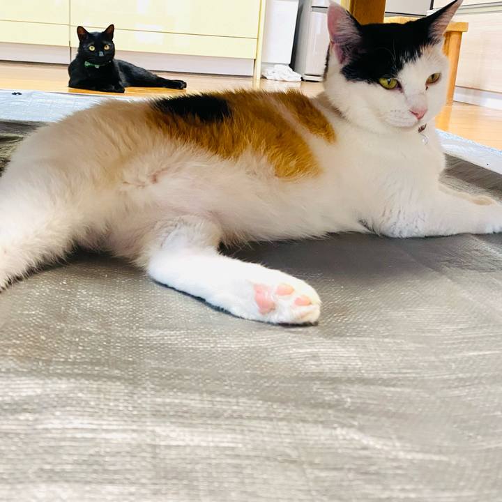 C9609af9 015a 440c 9acb a30025cb4efe 1656507045144