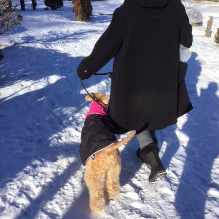 C9610dab 4034 401b 8117 a9e6302e4cee 1514986181371