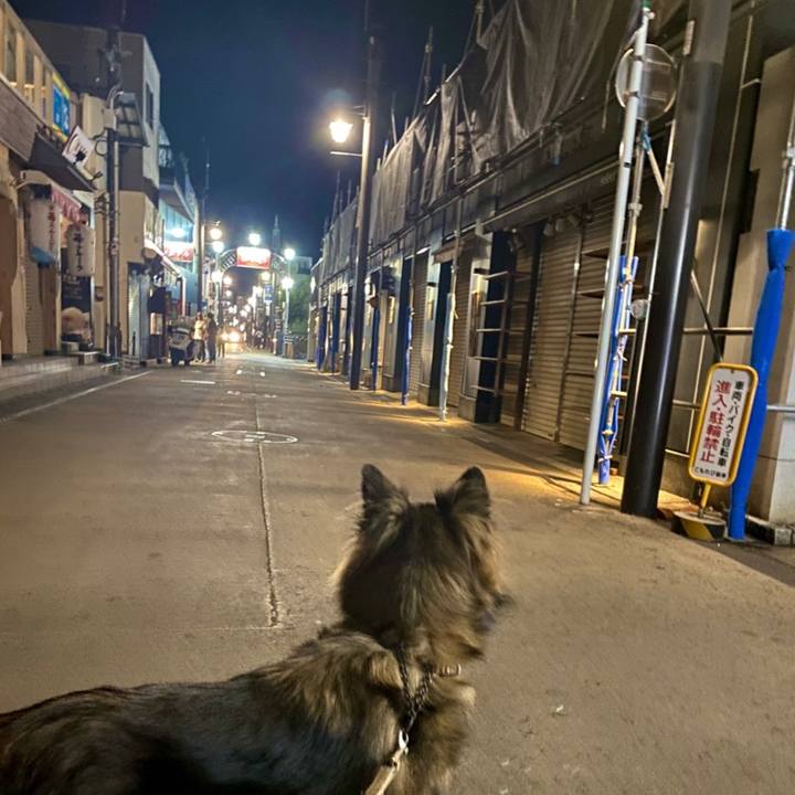 C9617cf7 2ad0 467e 82a1 e23789d64386 1756476329076