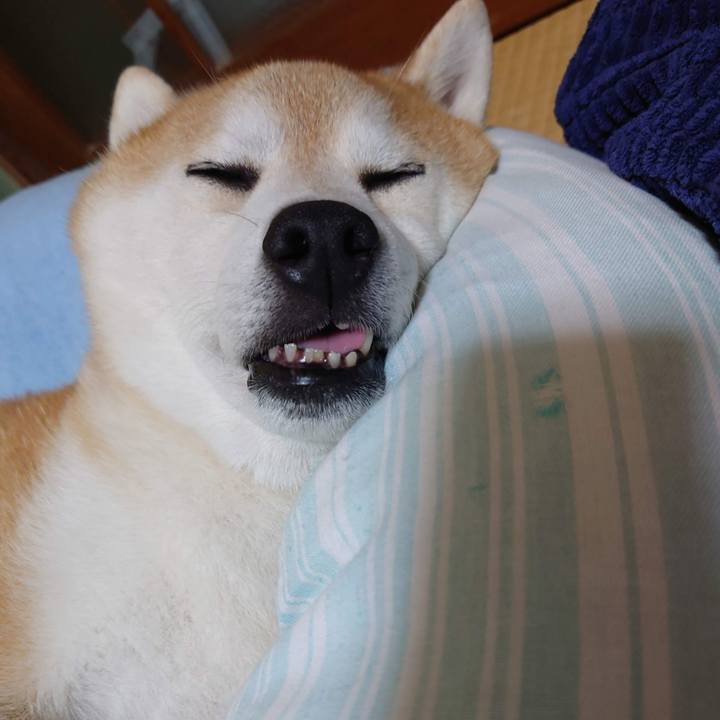 C961ce12 3042 4532 af68 0c9c35726a20 1763552642707