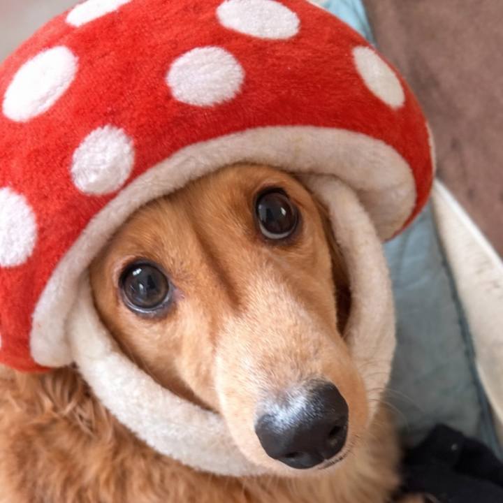 C9625ab3 a735 449c b8a4 50f5250129aa 1766834109078